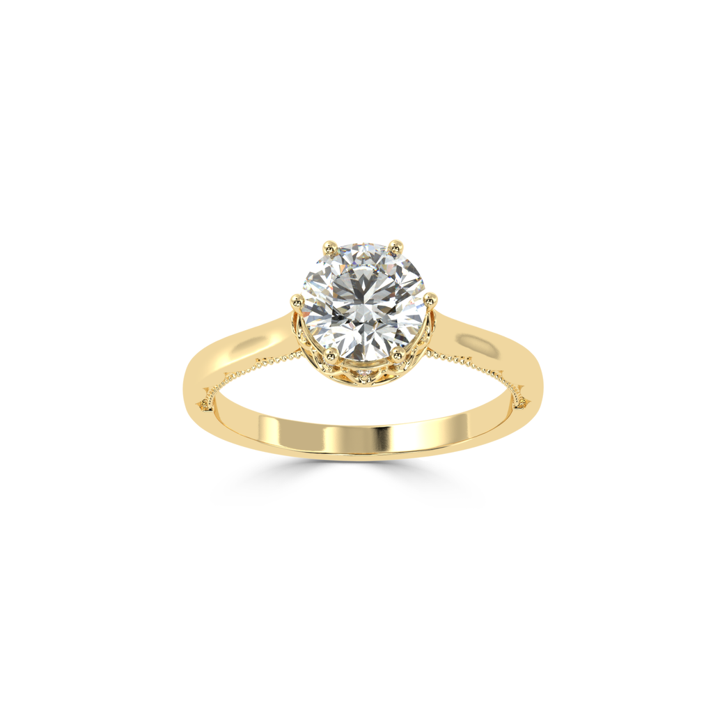 ZARN6535.3.yellow