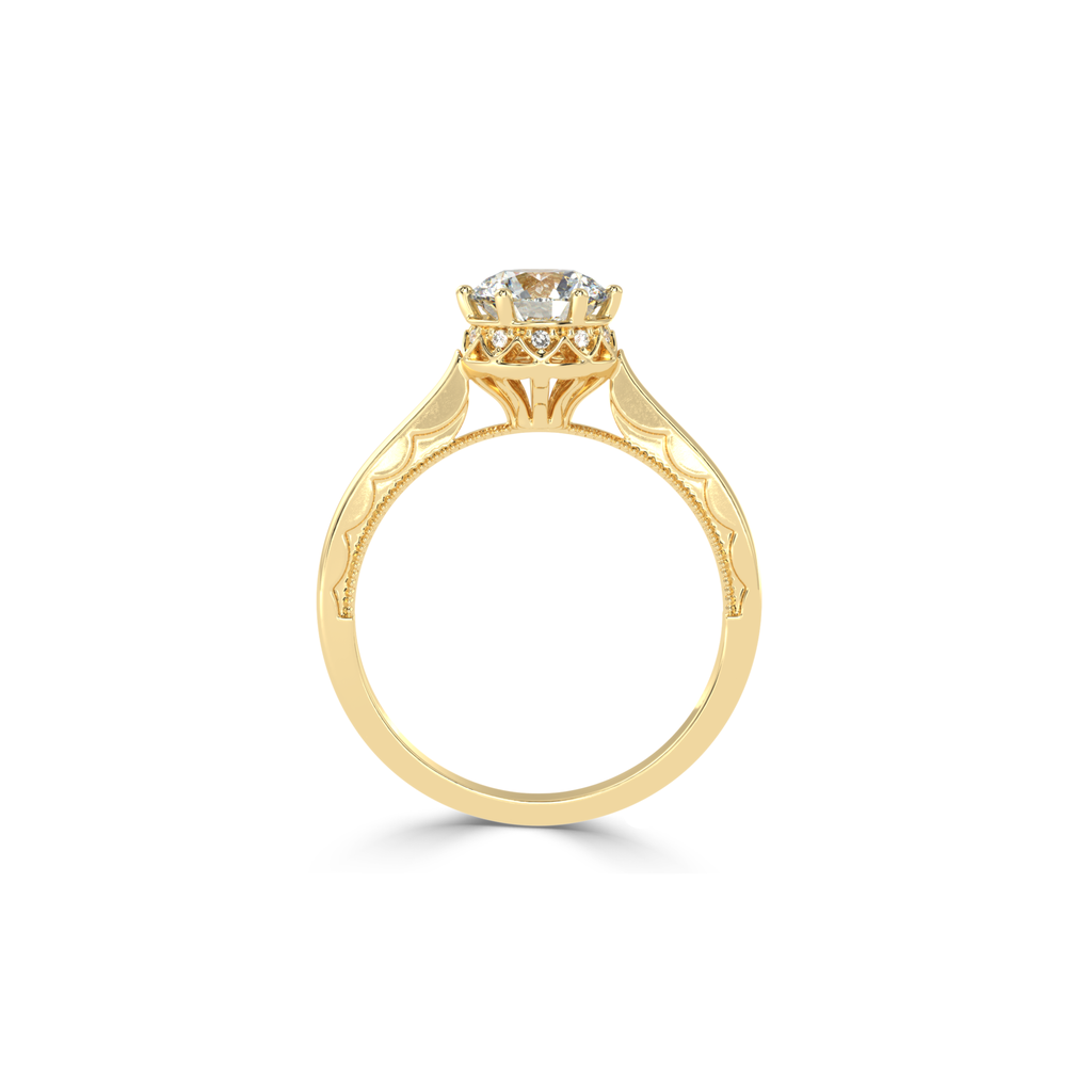 ZARN6535.5.yellow