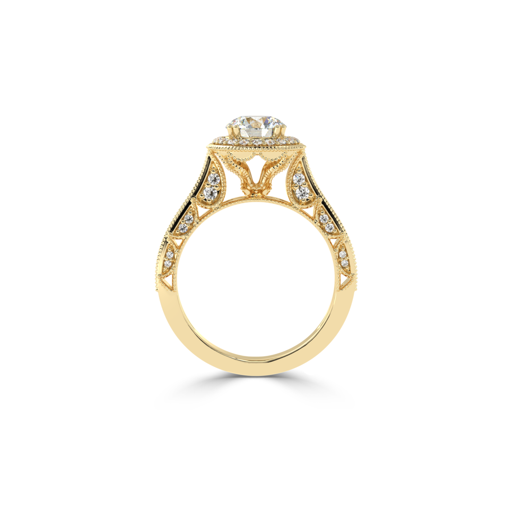 ZARN6663.5.yellow