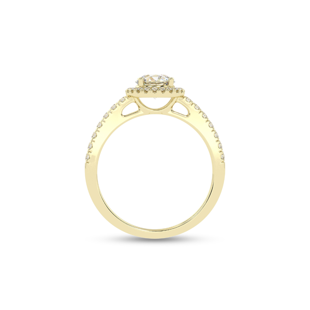 DOCR9210.5.yellow