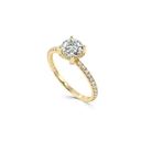 R9206.1.yellow