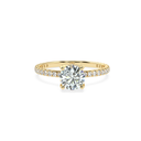 R9206.4.yellow