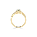 R9221.5.yellow