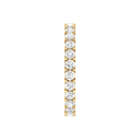 RDRN9279.5.yellow