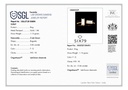 SP SIXLR0033P