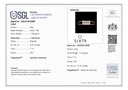 SP SIXLR0038P