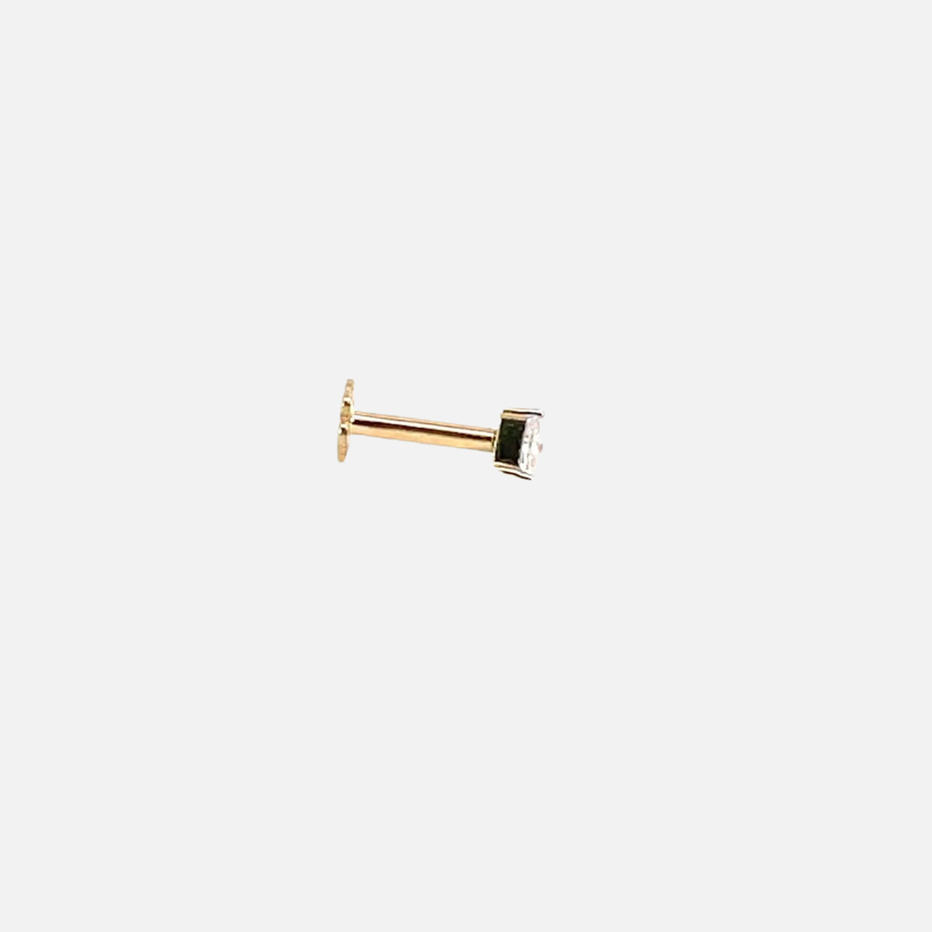 SIXNP003P