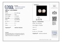 RD SIXMSE001P