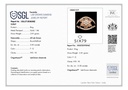 SP SIXLR0101P