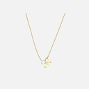 RD SIXP009P (WITH CHAIN)
