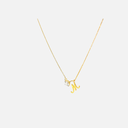 RD SIXP009P (WITH CHAIN)