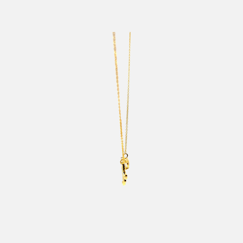 RD SIXP009P (WITH CHAIN)