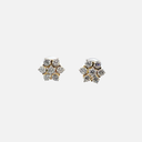 RD SIXER0083P  (18K)