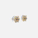 RD SIXER0083P  (18K)