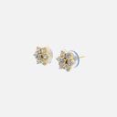 RD SIXER0083P  (18K)