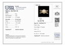 RD SIXLR0116P