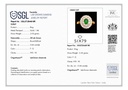 RD SIXLR0135P