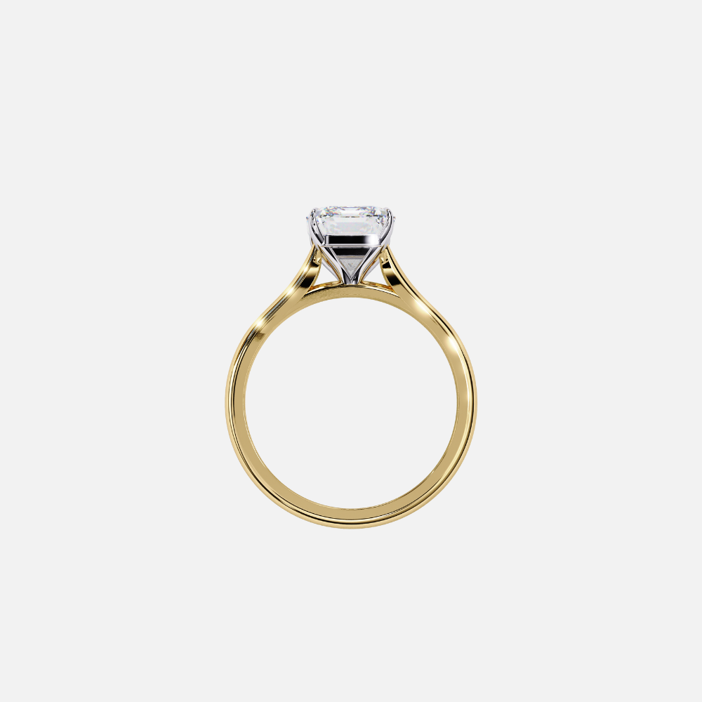 SIXLR0091M