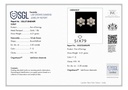 RD SIXER0083P  (18K)