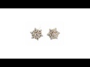 RD SIXER0083P  (18K)