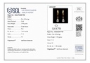 RD SIXPSE009P (18K)