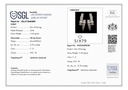RD SIXER0085P