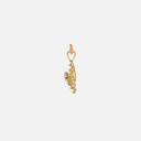 RD SIXPN1035(Without Chain)