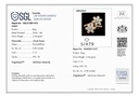 RD SIXLR0085P