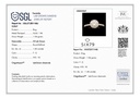 RD SIXLR0086P