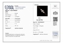 RD SIXTM-869