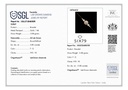 RD SIXTM-833