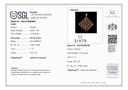 RD SIXP0020P (WITH CHAIN)