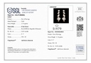 SIXER0098P
