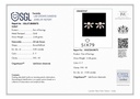 SIXMSE006P 