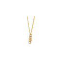 SIXPS0019P(WITH CHAIN)