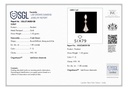 SIXPNS1145(WITH RING)