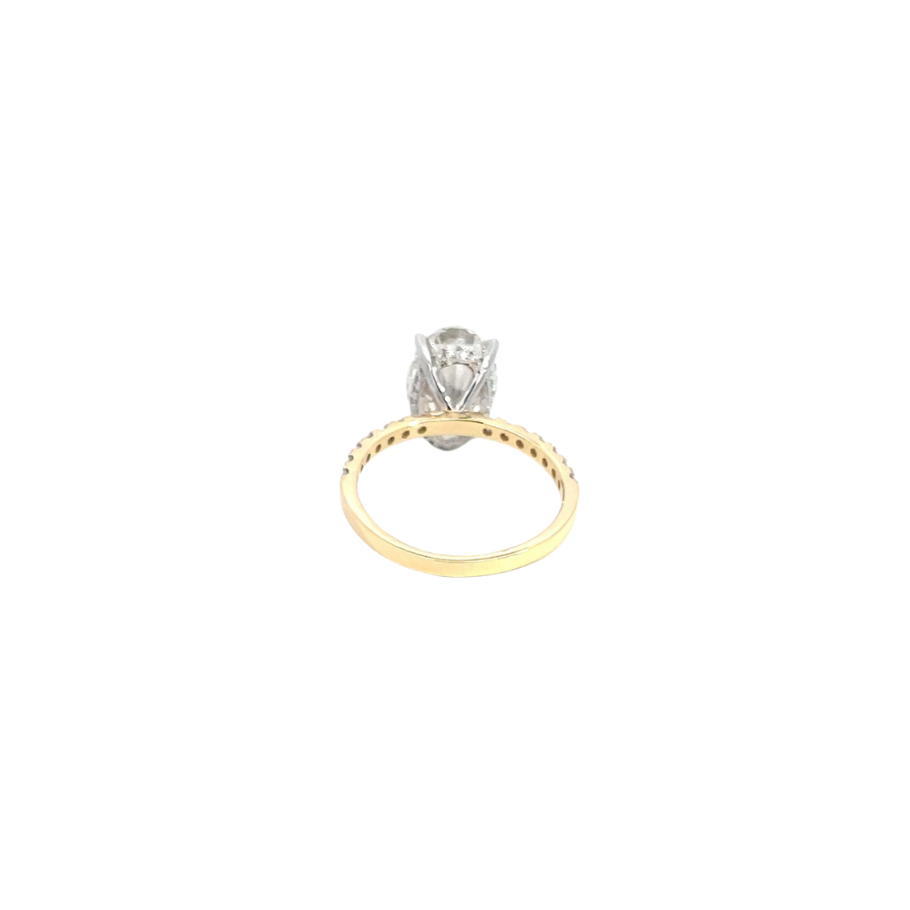 RD SIXLR0190P