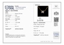 SIXPS0019P(WITH CHAIN)