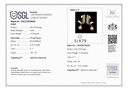 RD SIXER0113P (18K)