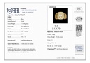 RD SIXGR0044P