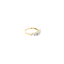 RD SIXLR0162P(2)(18K)
