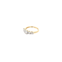 RD SIXLR0162P(2)(18K)