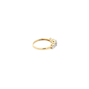 RD SIXLR0162P(2)(18K)
