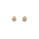 RD SIXER0117P(18K)