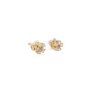 RD SIXER0117P(18K)