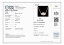 RD SIXP0039P(WITH CHAIN)