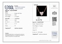 RD SIXP0040P(WITH CHAIN)