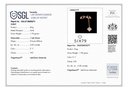 RD SIXLR0217P