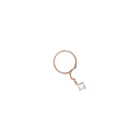 RD SIXLR0217P