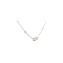 SIXNK0021P